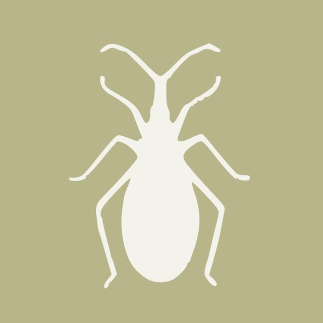 Chagas